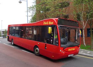 d&g bus